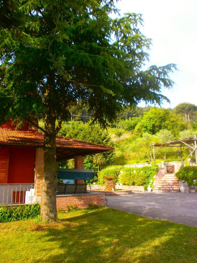 סורנטו Villa Pietralta מראה חיצוני תמונה